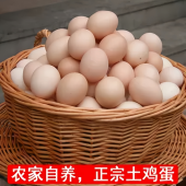 大别山新县农家散养正宗土鸡蛋30枚草鸡蛋笨鸡蛋绿壳鸡蛋信阳特产