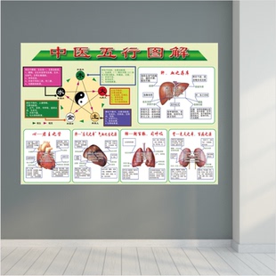 中医五行图解海报贴画经络相克养生文化知识宣传美容院广告装饰画