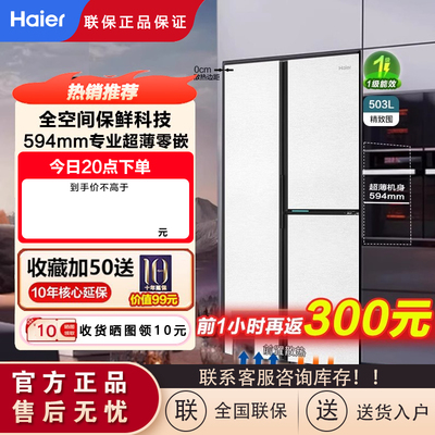 海尔BCD-503WGHFT1BWLU1三门冰箱