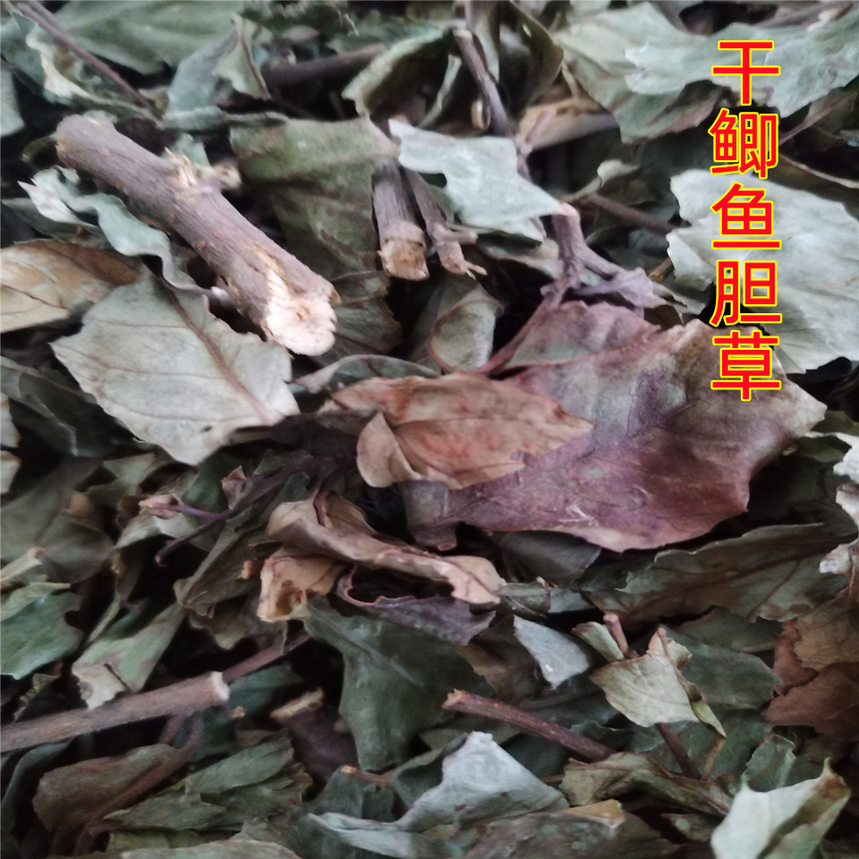 鲫鱼胆2023原生态鲫鱼胆空心花冷饭果岑心花泡茶自然晒干500g包邮