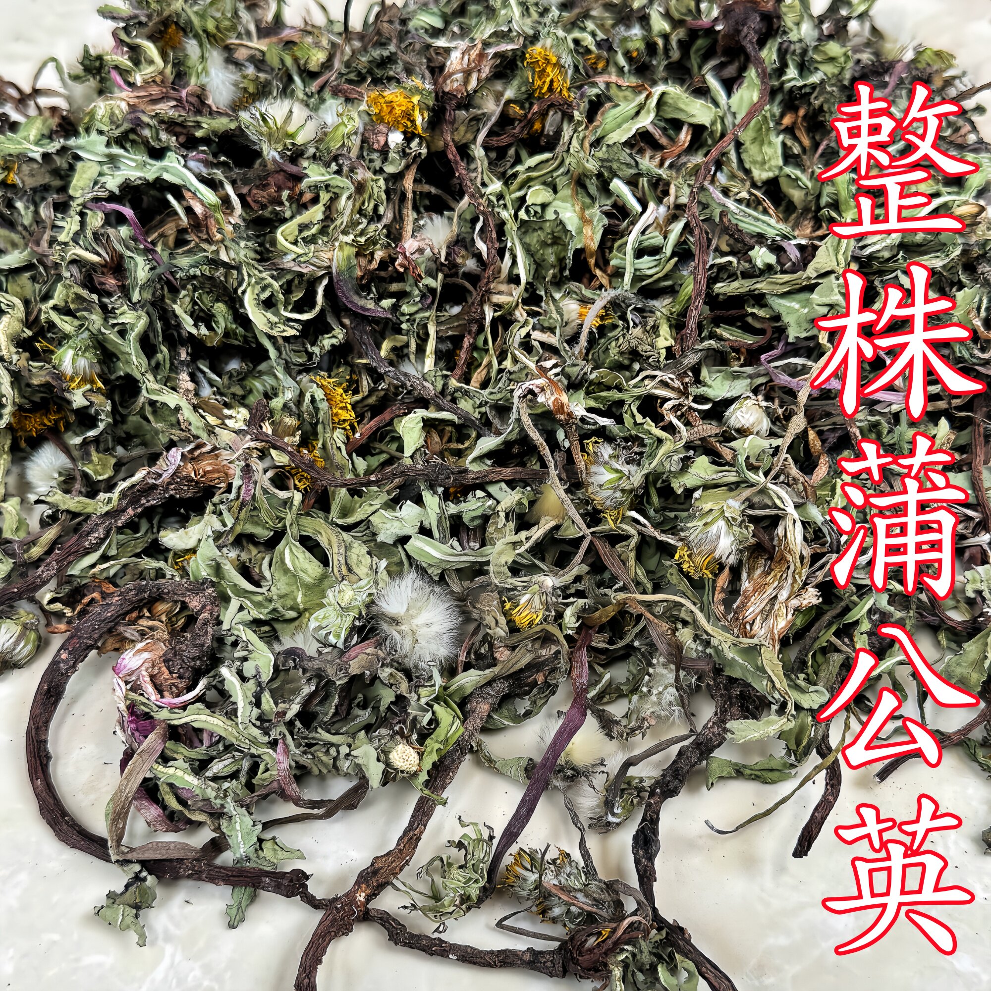 蒲公英整棵新晒干黄黄苗蒲公英整株干品蒲公英的根黄黄苗婆婆丁根