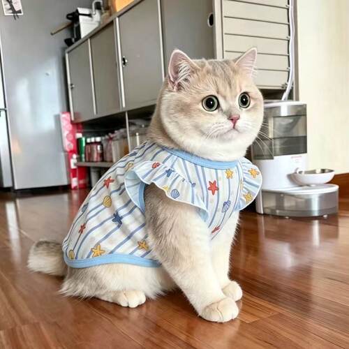 跨境夏季防掉毛可爱猫咪狗狗网纱背心英短美短布偶矮脚猫轻薄衣服