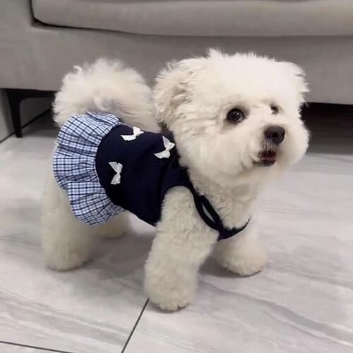 狗狗衣服春夏季薄款博美比熊泰迪小型幼犬猫咪宠物防掉毛背心裙子