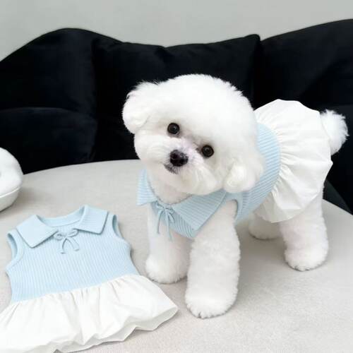 新款宠物服装狗狗猫咪夏季背心衣服薄款POLO领连衣裙小型犬服饰