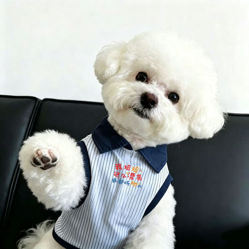 薄款猫咪衣服防掉毛多巴胺小背心小型犬春夏季POLO衫2026年新款