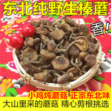 东北野生榛蘑小鸡炖蘑菇干货山特产榛蘑丁新货香菇类野生菌200g