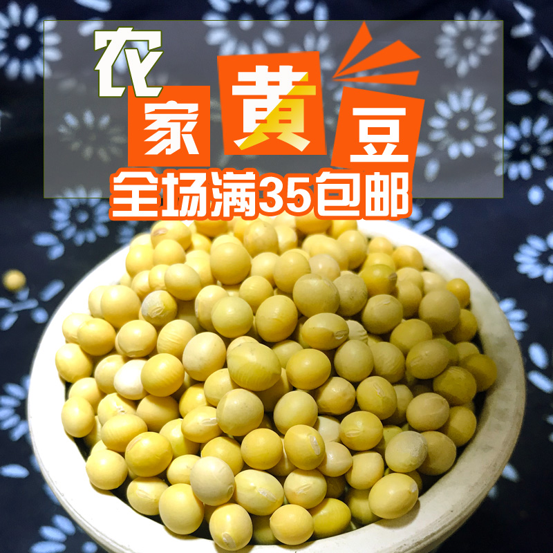 东北笨黄豆 新豆农家自种小黄豆黑龙江大豆发豆芽打豆浆专用400g