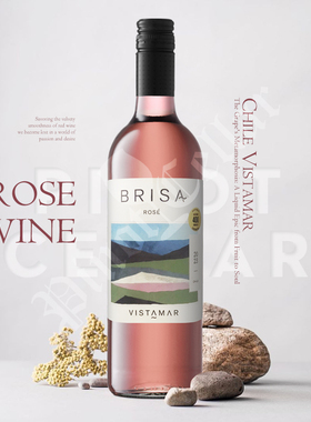 2023 维斯特玛 Vistamar Brisa Rose 桃红 智利 葡萄酒 实惠推荐