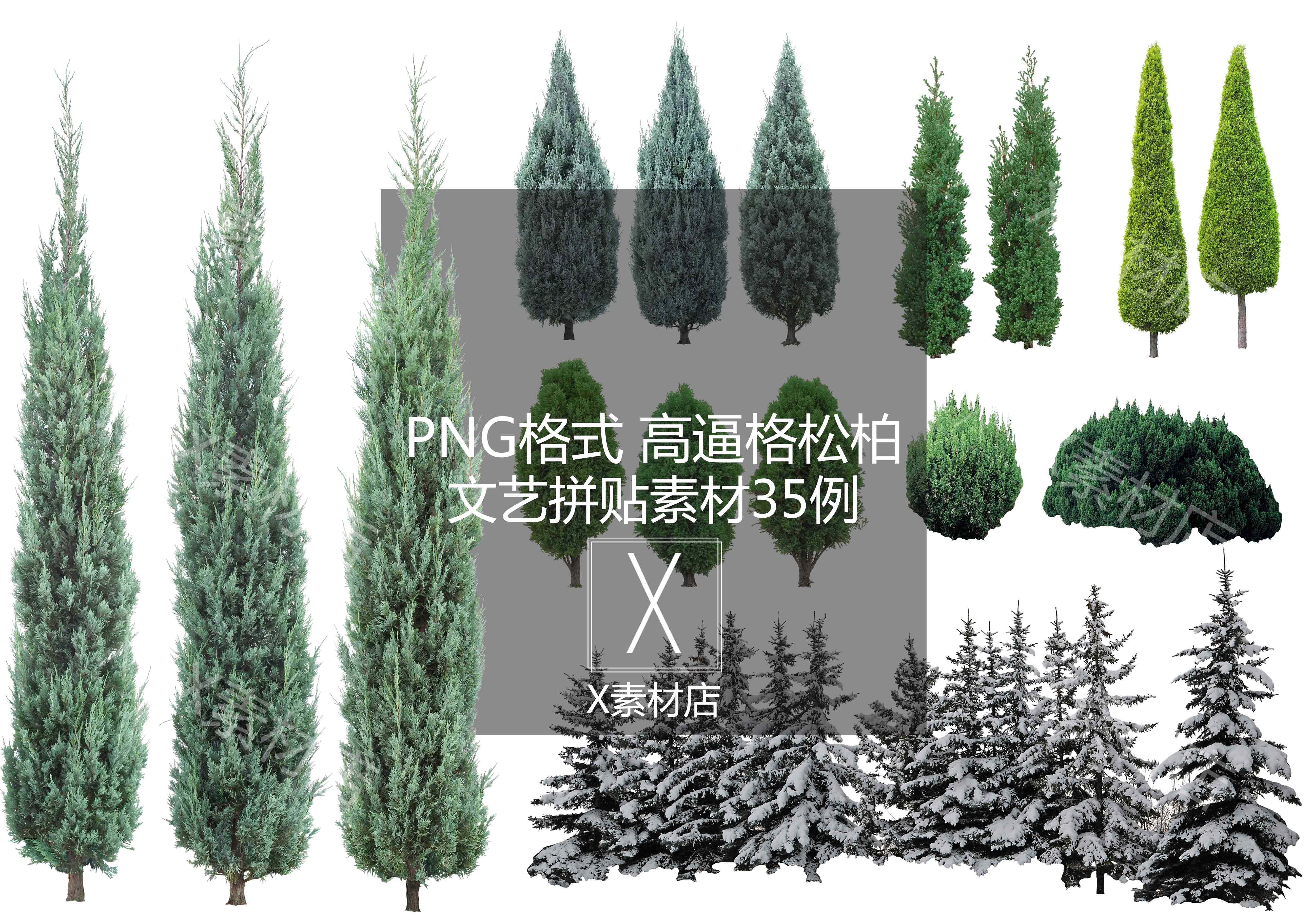 png松柏高树木植物景观建筑设计效果图松树柏树后期素材