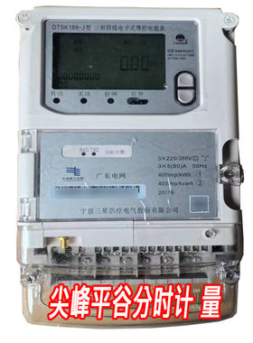 三星DTSK188-J三相四线5-80A南网林洋100A直通电表尖峰平谷电表