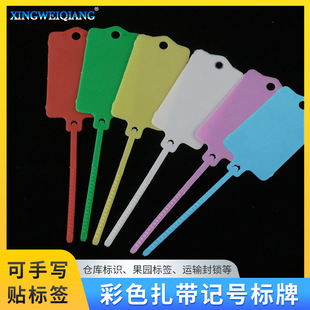 可定制一体式挂签塑料吊牌 带记号标签扎带 彩色标牌可重复使用