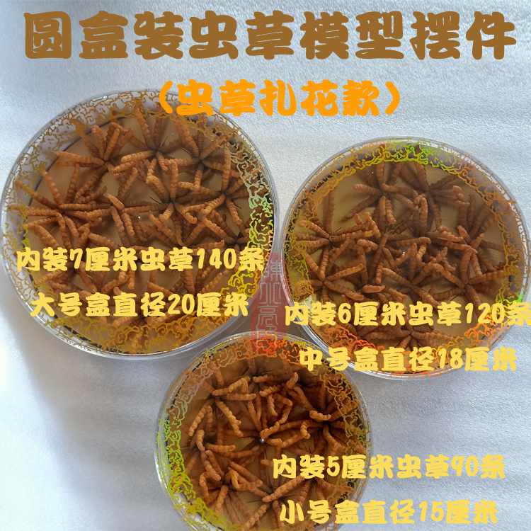 圆盒装扎花虫草模型摆件冬虫夏草橱柜陈列店铺软装道具拍摄工艺品