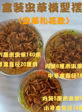 圆盒装扎花虫草模型摆件冬虫夏草橱柜陈列店铺软装道具拍摄工艺品