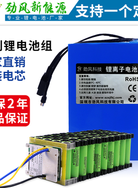 定制12动力24V36V48V电动探测机器人搬运车AGV三元磷酸铁锂电池组
