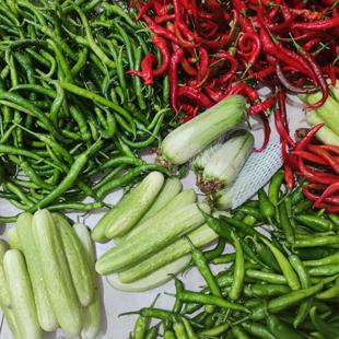 萍乡本地辣椒蔬菜混搭江西大蒜毛豆洋辣椒菜老大蒜苔蛾眉豆丝瓜