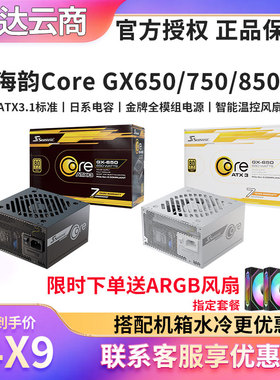 海韵Core GX 650/750/GM 850 ATX3 电脑台式金牌电源S12III 500W