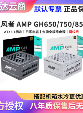 追风者AMP6507508501000电源