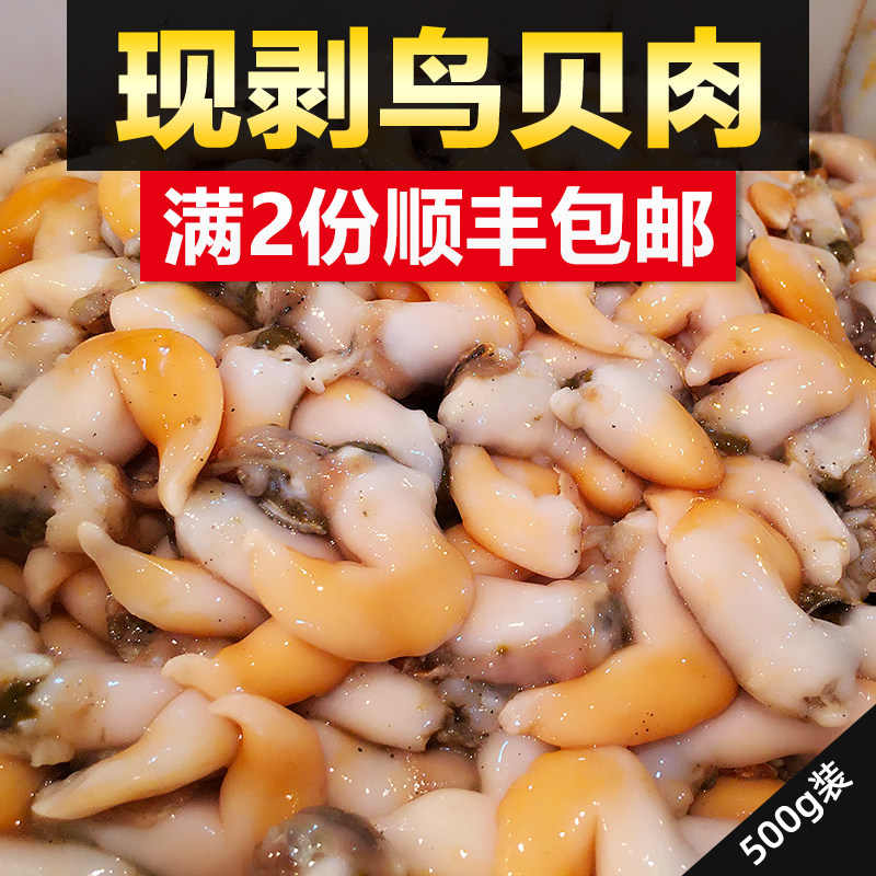 鸟贝肉鲜活现剥当天新鲜超大黄鸟贝冰鲜去壳鸟蛤海鲜白玉贝类500g