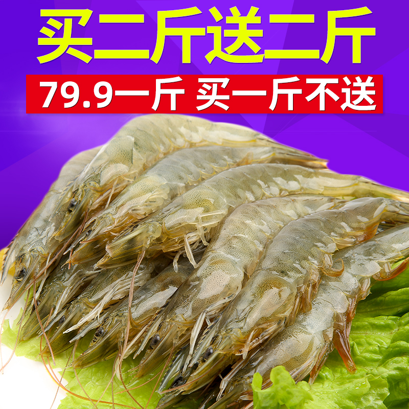 青岛鲜活急冻大虾海捕虾鲜虾500g