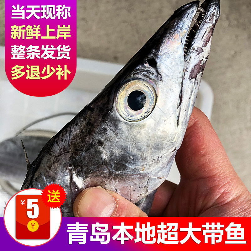 渤海湾小眼油带鱼超大新鲜海鲜水产鲜活冷冻刀鱼段野生海钓深海鱼