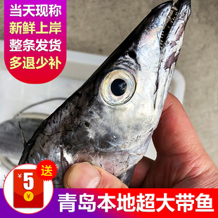 渤海湾小眼油带鱼超大新鲜海鲜水产鲜活冷冻刀鱼段野生海钓深海鱼