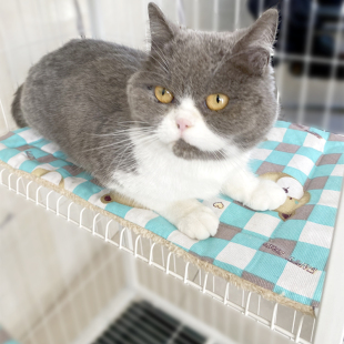 通用宠物狗垫子 猫睡觉用垫子猫笼平台专用垫猫咪睡垫脚垫猫窝四季