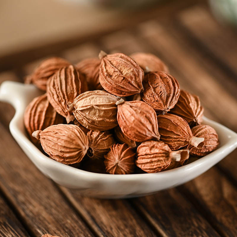 香砂仁100g 沙仁 川砂仁阳春砂仁香料大全 春沙仁 川沙仁烧菜卤料