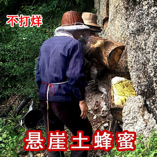 2年取蜜一次花香濃郁質(zhì)量更好野生百花蜜自產(chǎn)500g 24年懸崖土蜂蜜