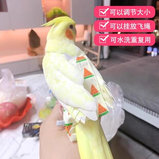 鹦鹉纸尿裤尿不湿鸟用虎皮遛鸟神器玄风拉屎兜便携式可调节不沾粪