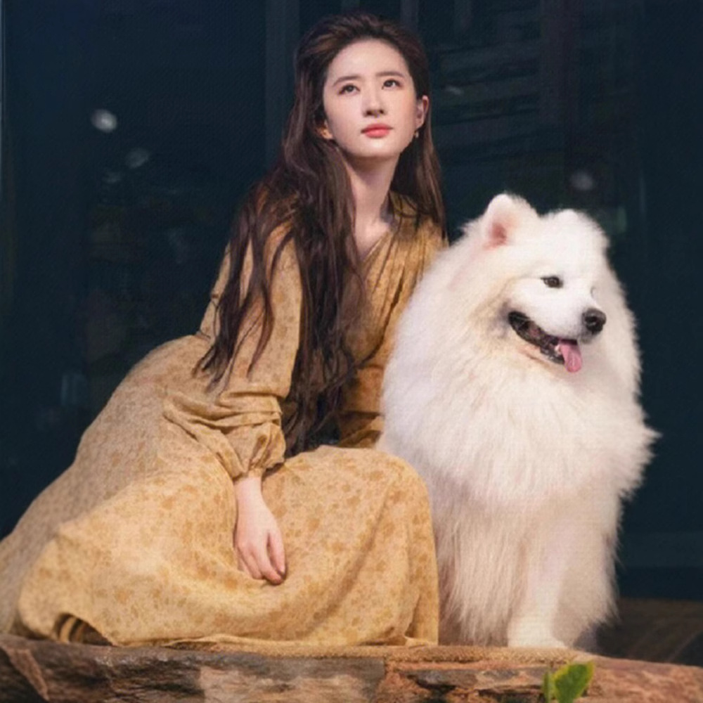 去有风的地方刘亦菲同款碎花连衣裙女2025春新款长袖印花春装