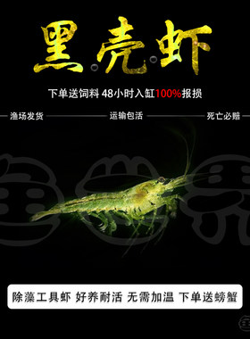 工具虾黑壳虾包邮报损