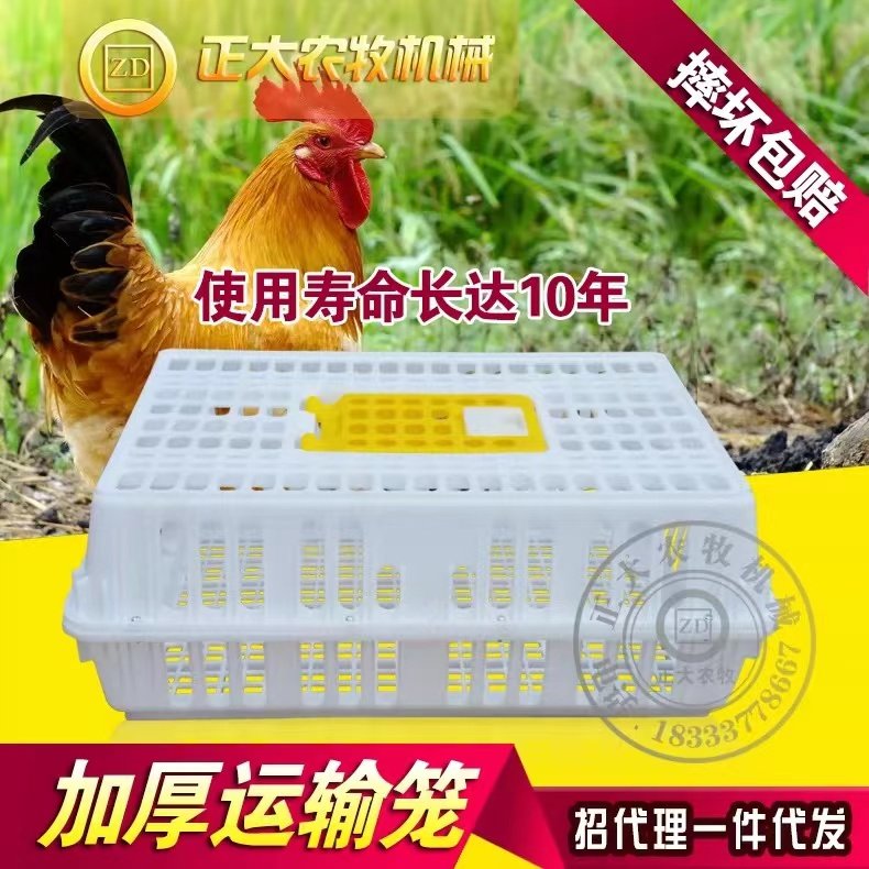 鸡运输笼塑料运输鸡笼鸡用周转箱成鸡鸭鹅兔鸽用鸡笼鸡筐家禽鸡筐,畜牧/养殖物资,养殖用具,淘宝优惠券,粉丝福利购,淘宝优惠卷