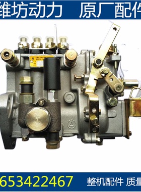 潍坊潍柴华丰装载机 ZH4100 4102 ZHAG ZHBG BQ喷油泵总成 柴油泵