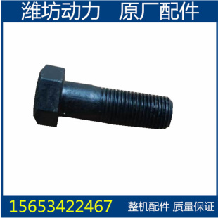 潍坊潍柴华丰4100 4102 4105 6105飞轮螺栓 飞轮螺丝 柴油机配件
