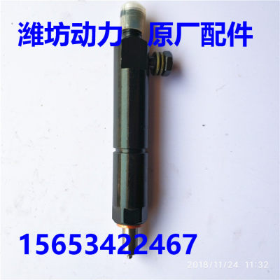 潍坊潍柴华丰R4105ZD 4RMAZG R6105 6110 喷油器 喷油嘴总成 配件