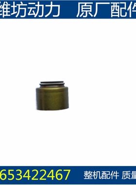 潍坊潍柴华丰4100 ZHAG 4102 ZH4105ZD 气门油封 柴油机配件