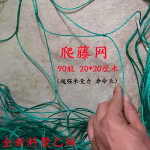 植物爬藤网加粗攀爬网西瓜南瓜大果种植网观赏搭架爬墙大棚防风网