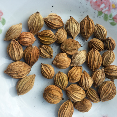 太阳贵州特产调味香料现摘沙仁