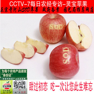 灵宝寺河山SOD苹果红富士水果新鲜脆甜高山苹果顺丰包邮新鲜包装