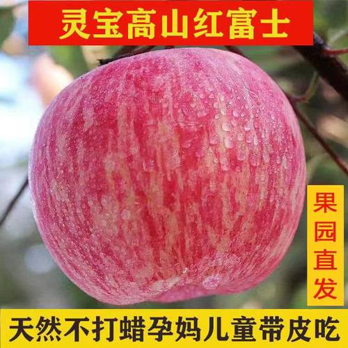 寺河山现摘脆甜红富士苹果包邮
