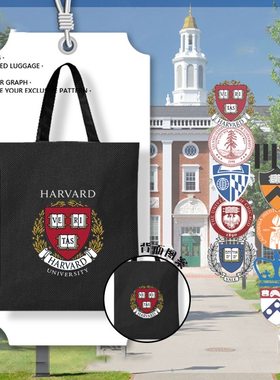 哈佛大学麻省理工芝加哥斯坦福帆布袋包手提袋学生书包休闲单肩包