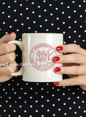 美国MIT麻省理工大学纪念马克杯陶瓷杯咖啡杯茶水杯礼品杯子