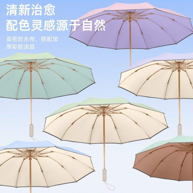 反向伞10骨全自动彩胶雨