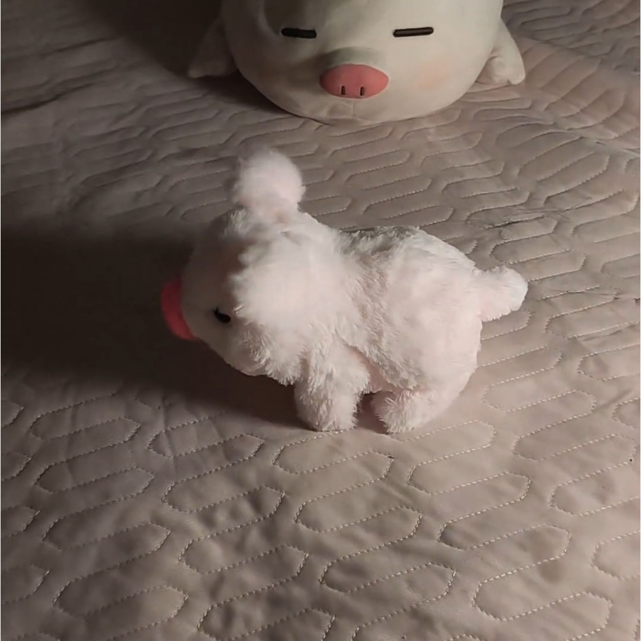 电动小猪牵绳会走会叫毛绒小香猪
