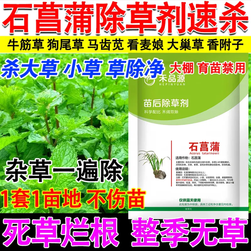 石菖蒲除草剂快速杀杂草石菖蒲田苗后除草剂杀香附子牛筋草烂根