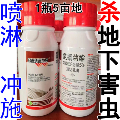 地下害虫全杀蛴螬金针虫地老虎
