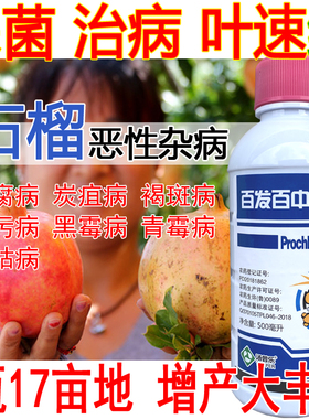 石榴特效杀菌剂干腐病炭疽病褐斑病煤污病黑霉病青霉病干枯病