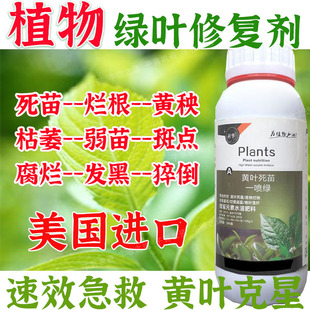 一夜绿黄叶变绿黄叶卷叶保花保果叶绿素叶面肥一喷绿叶素肥料
