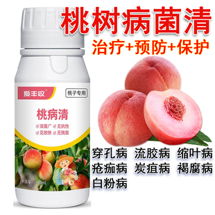 桃子杀菌剂桃树专用桃子病全治穿孔流胶缩叶病疮痂病炭疽病褐腐病