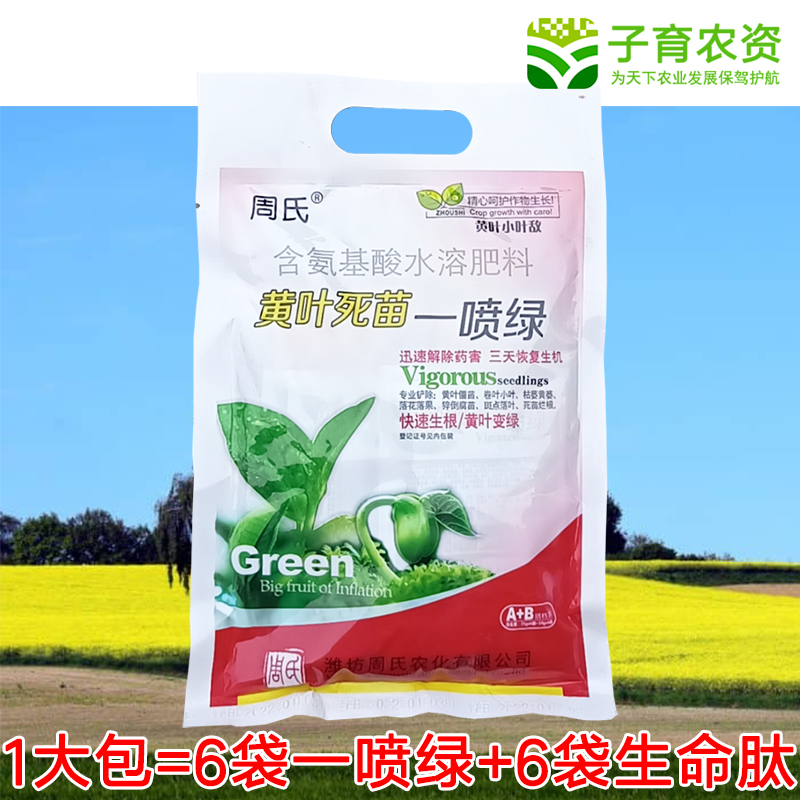 黄叶死苗一喷绿生根壮苗